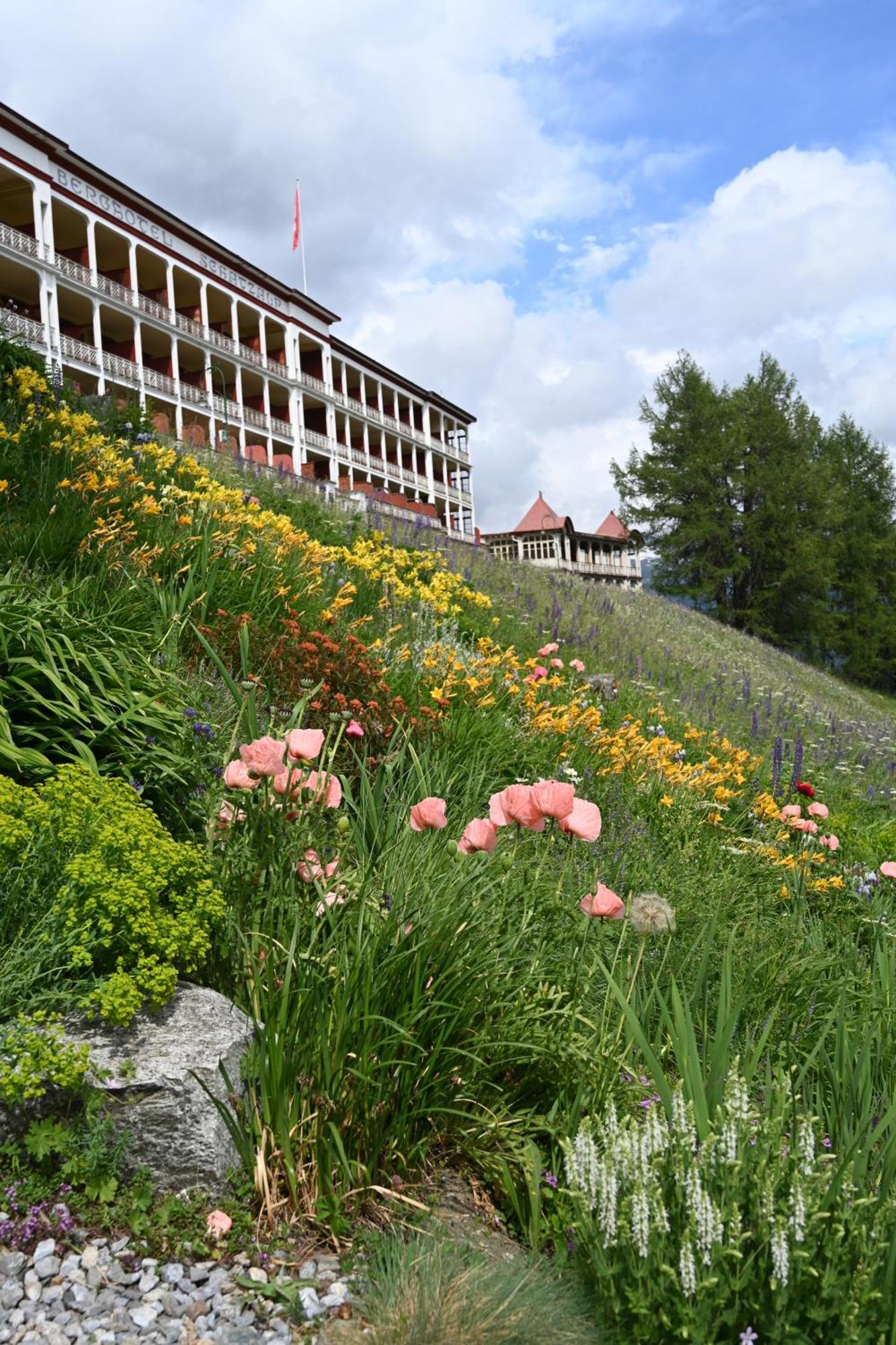 Schatzalp Hotel Davos Eksteriør bilde