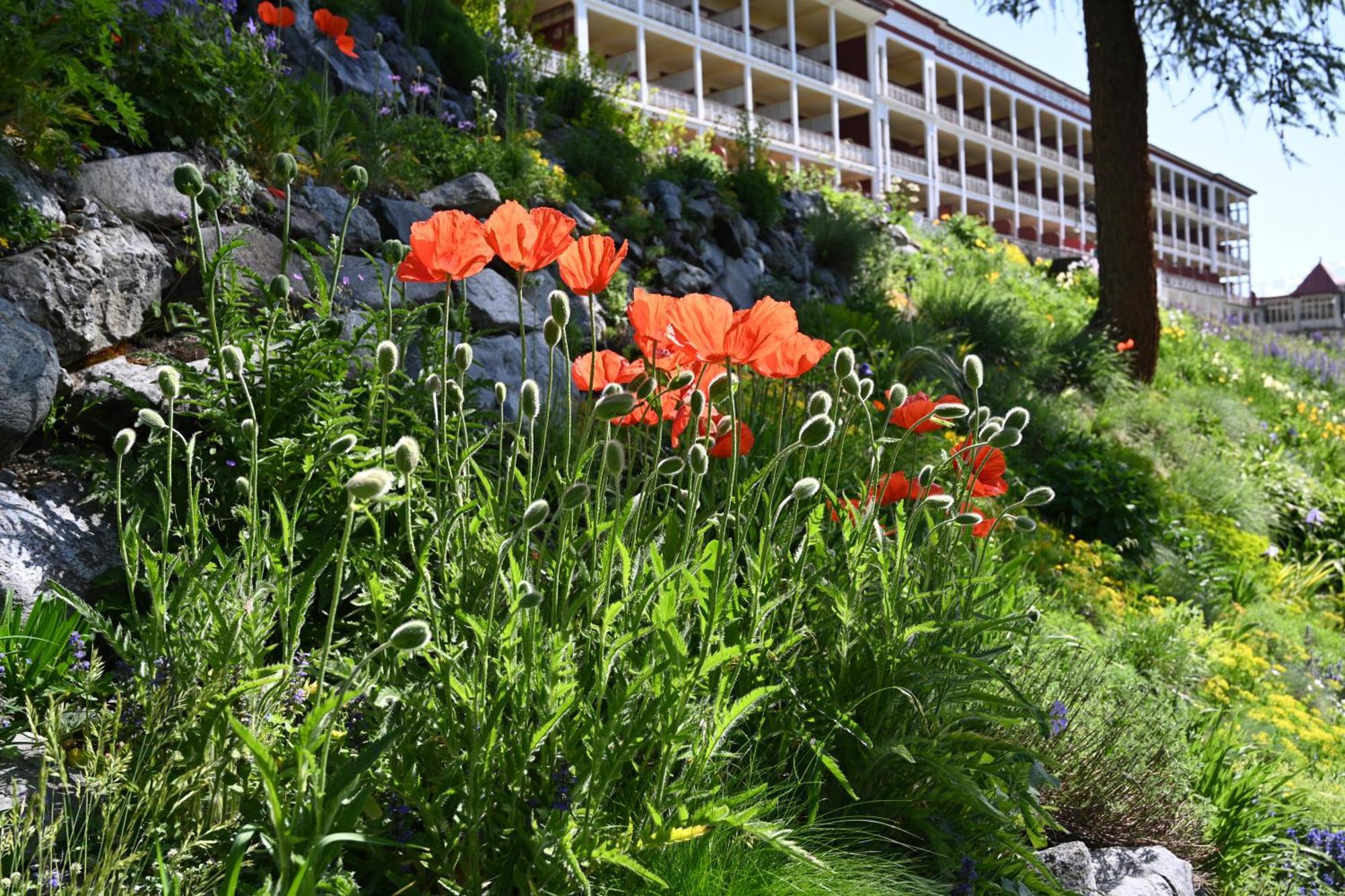 Schatzalp Hotel Davos Eksteriør bilde